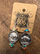 Load image into Gallery viewer, Route 806 Earring
