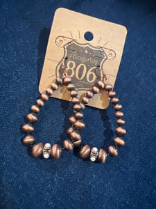 Route 806 Earring