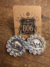 Load image into Gallery viewer, Route 806 Earring
