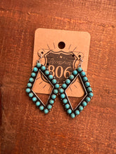 Load image into Gallery viewer, Route 806 Earring
