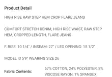 Load image into Gallery viewer, Vervet HR Righteousness Denim
