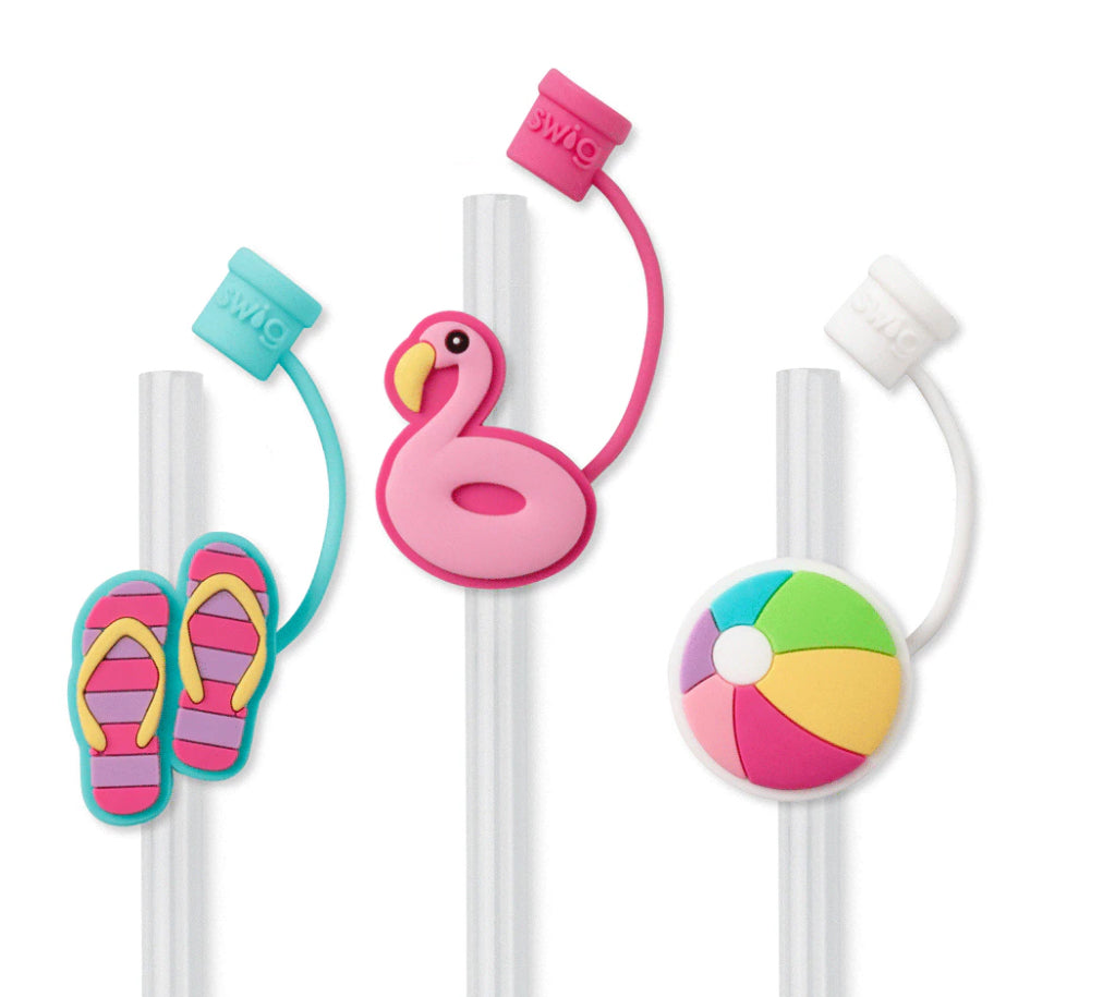Swig Straw Topper Set